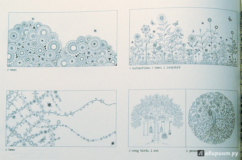 Иллюстрация 31 из 71 для Таинственный сад. Книга для творчества и вдохновения - Джоанна Бэсфорд | Лабиринт - книги. Источник: mangust