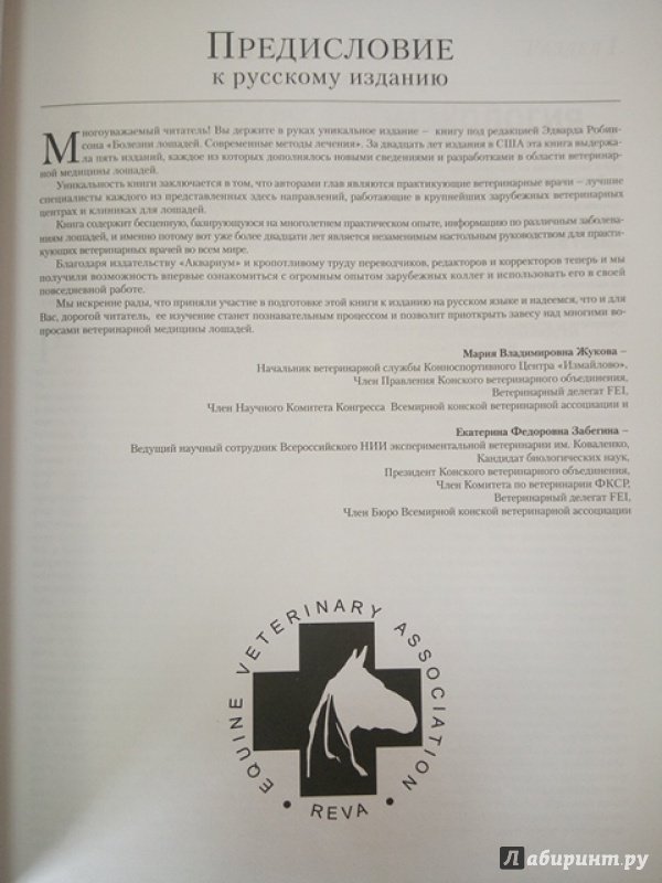 Иллюстрация 8 из 12 для Болезни лошадей. Современные методы лечения - Робинсон, Уилсон | Лабиринт - книги. Источник: Салус