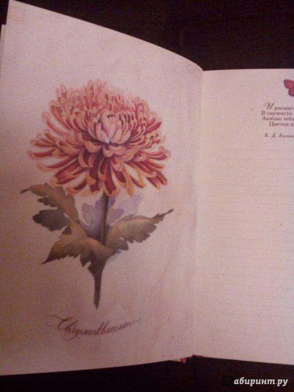 Иллюстрация 3 из 8 для Блокнот "All you need is flowers", А5- | Лабиринт - канцтовы. Источник: Губанихина  Мария Александровна