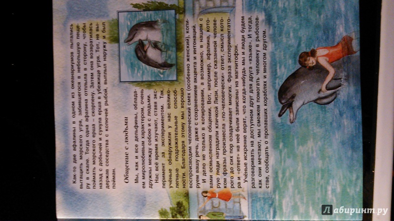 Иллюстрация 8 из 18 для Млекопитающие - Татьяна Жданова | Лабиринт - книги. Источник: Лабиринт