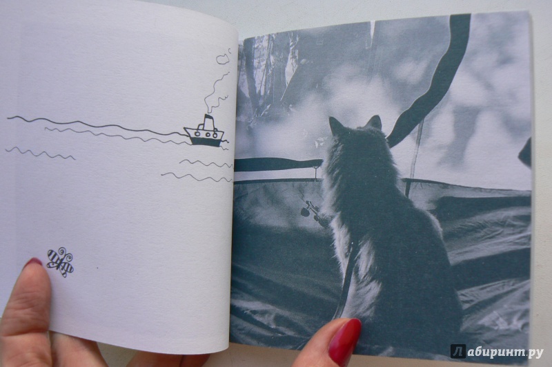 Иллюстрация 3 из 5 для Люди заводят собак, а кошки людей | Лабиринт - книги. Источник: Марина
