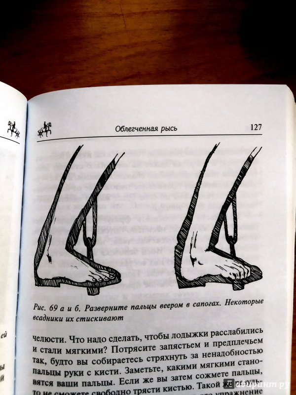 Иллюстрация 17 из 19 для Как достичь совершенства в верховой езде. Навыки центрированной верховой езды - Салли Свифт | Лабиринт - книги. Источник: Valery