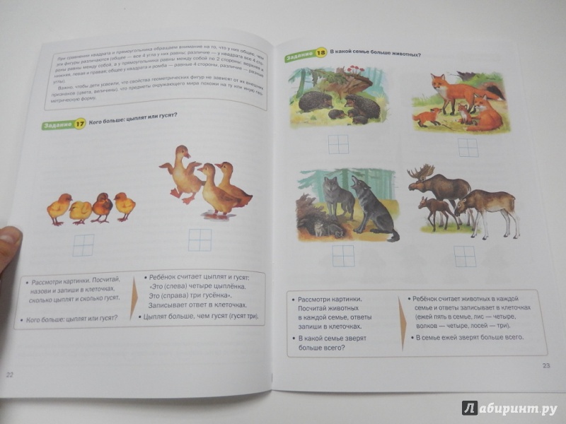 Иллюстрация 5 из 6 для Обучение математике. Для занятий с детьми 4-5 лет. Средняя группа. ФГОС ДО | Лабиринт - книги. Источник: dbyyb