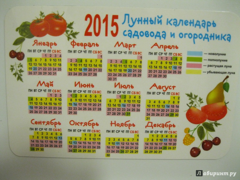 Календарь садовода на апрель 24 года. Календарь садовода на апрель. Лунный календарь садовода и огородника. Календарь огородника на апрель 2021 года. Лунный календарь на апрель.