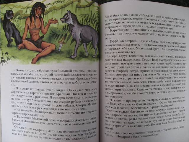 Иллюстрация 25 из 30 для Маугли - Редьярд Киплинг | Лабиринт - книги. Источник: svemikh