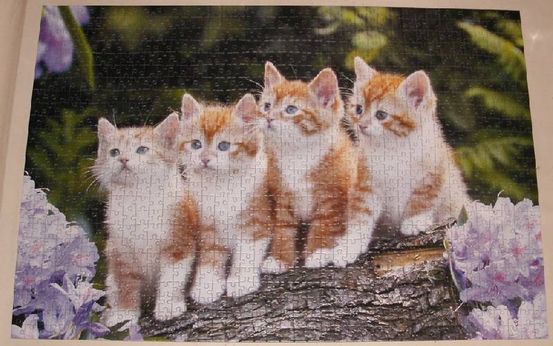 Иллюстрация 1 из 4 для Puzzle-1000. Четыре котенка (С-101344) | Лабиринт - игрушки. Источник: Ёжик