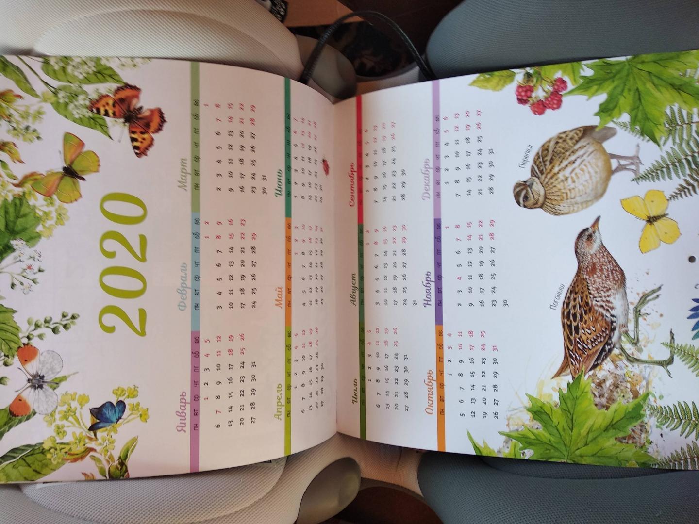 Иллюстрация 20 из 40 для Календарь настенный на 2019 год "Календарь живой природы" | Лабиринт - сувениры. Источник: Надежда