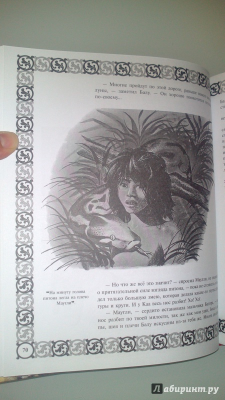 Иллюстрация 14 из 27 для Книга джунглей - Редьярд Киплинг | Лабиринт - книги. Источник: bamboo
