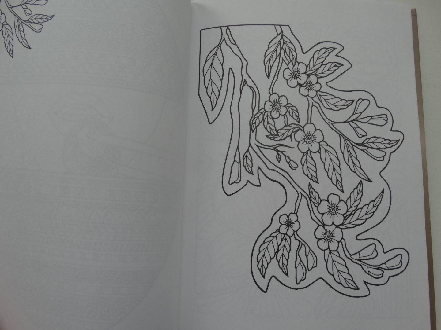 Иллюстрация 23 из 29 для Арт-блокнот. Цветокототерапия - Янина Миронова | Лабиринт - книги. Источник: u.p
