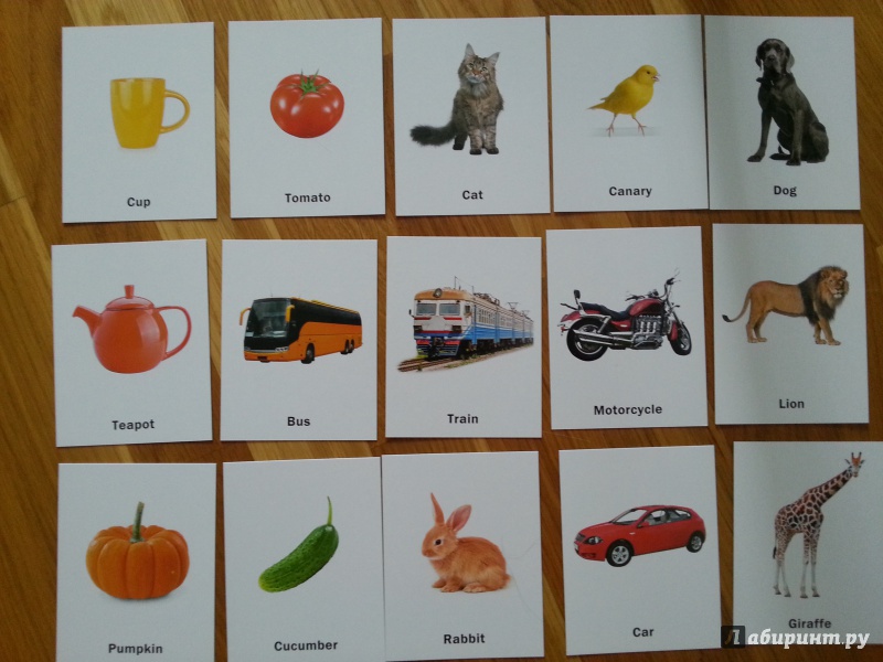 Иллюстрация 5 из 23 для Набор карточек "Учу английские слова"№ 2 | Лабиринт - игрушки. Источник: Янта