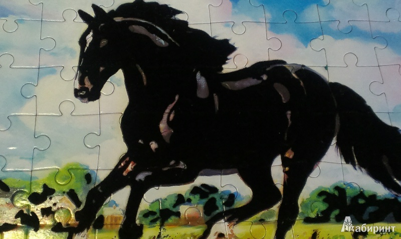 Иллюстрация 8 из 8 для Бархатные пазлы "Вороной конь" (2362) | Лабиринт - игрушки. Источник: Юстус  Виктория