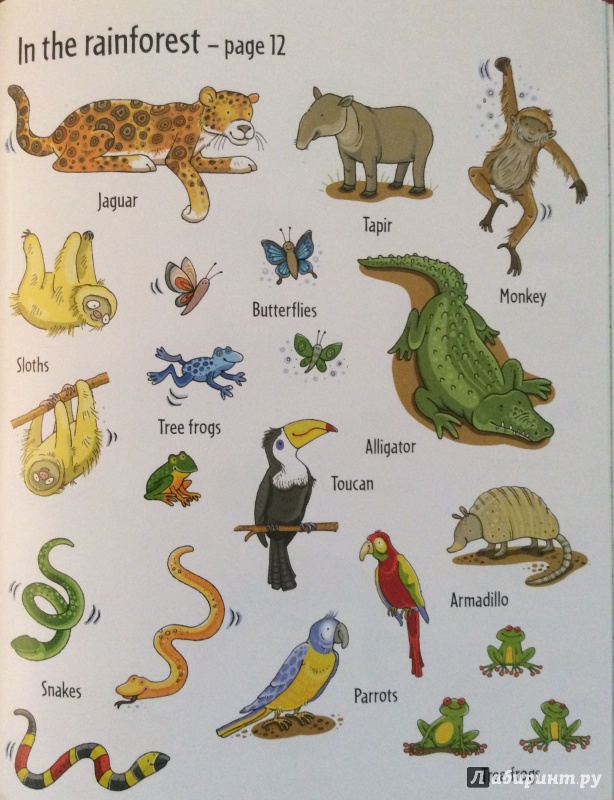 Иллюстрация 8 из 14 для Animal Sticker Book - Jessica Greenwell | Лабиринт - книги. Источник: Потапова  Юлия Владиславовна