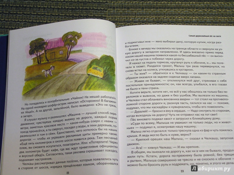 Иллюстрация 32 из 38 для Мои собаки - Леонид Сергеев | Лабиринт - книги. Источник: Shurshun