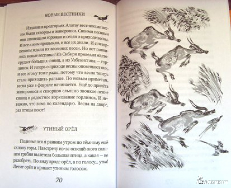 Иллюстрация 2 из 13 для Безымянной тропой - Николай Сладков | Лабиринт - книги. Источник: smola