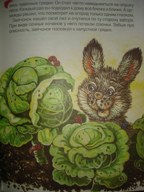 Иллюстрация 7 из 16 для Озорные истории - Тамара Крюкова | Лабиринт - книги. Источник: Настёна
