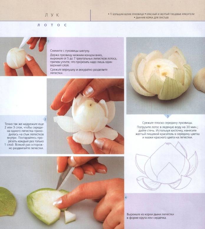 Иллюстрация 25 из 42 для Украшения из овощей и фруктов - Мари Лобо | Лабиринт - книги. Источник: Joker