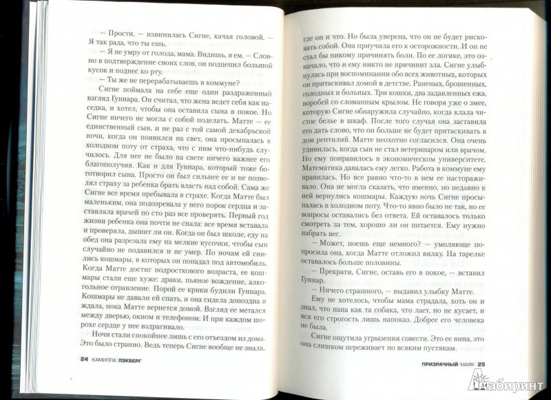 Иллюстрация 13 из 16 для Призрачный маяк - Камилла Лэкберг | Лабиринт - книги. Источник: Баскова  Юлия Сергеевна
