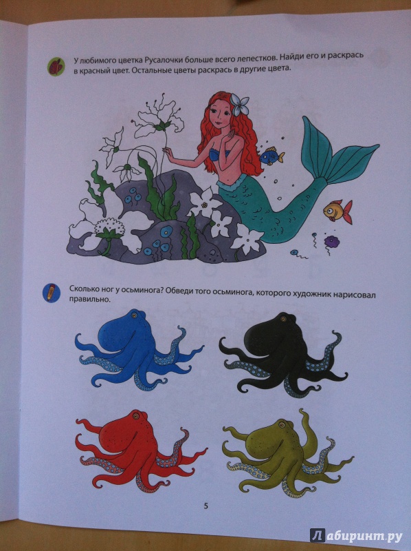 Иллюстрация 4 из 10 для Счет. 4-5 лет - Виктория Мамаева | Лабиринт - книги. Источник: Абра-кадабра