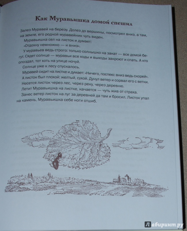 Иллюстрация 41 из 59 для Как муравьишка домой спешил - Виталий Бианки | Лабиринт - книги. Источник: Книжный кот