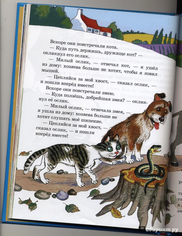Иллюстрация 19 из 23 для Бестолковые зверюшки | Лабиринт - книги. Источник: Морозова  Светлана Леонидовна