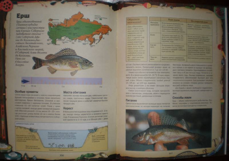Иллюстрация 9 из 55 для Энциклопедия рыбалки | Лабиринт - книги. Источник: Гостья