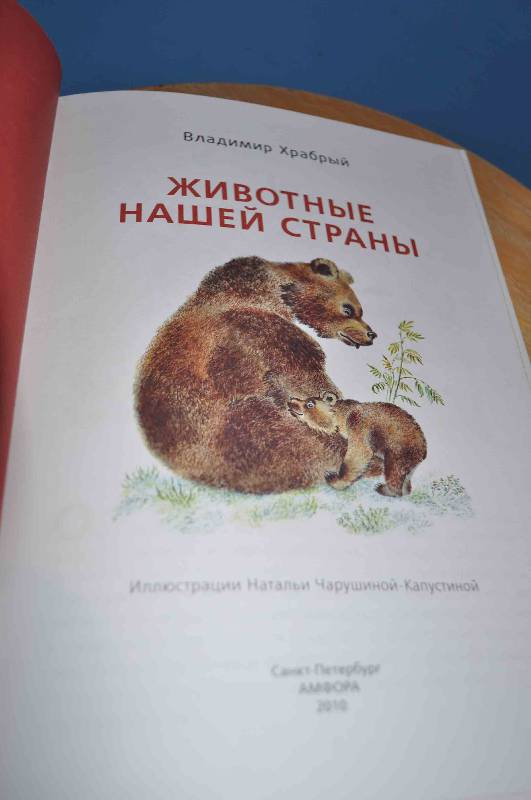 Иллюстрация 8 из 9 для Животные нашей страны (+CD) - Владимир Храбрый | Лабиринт - книги. Источник: nugzarych
