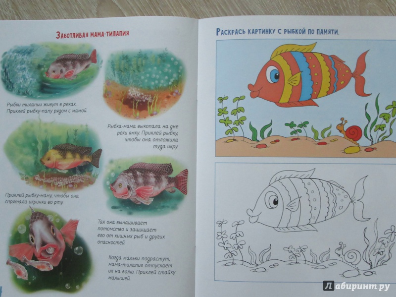 Иллюстрация 11 из 25 для Детсад для зверят. Книжка с многоразовыми наклейками | Лабиринт - книги. Источник: дюдюка барбидокская