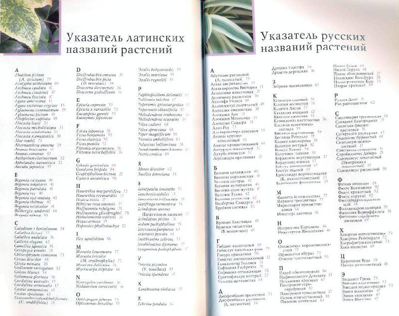 Иллюстрация 2 из 10 для 120 лучших пестролистных комнатных растений - Борис Головкин | Лабиринт - книги. Источник: la Colombina
