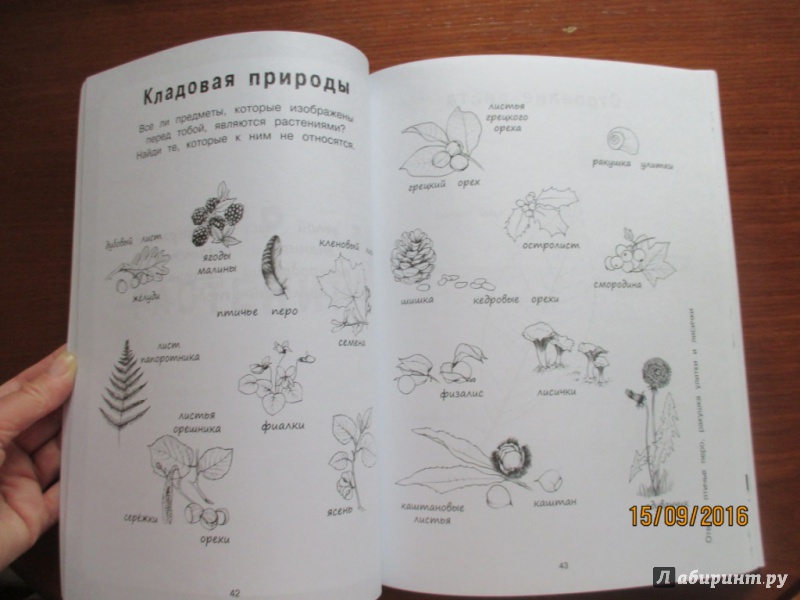 Иллюстрация 26 из 33 для Я учусь с Montessori - Эва Эррманн | Лабиринт - книги. Источник: Марина Епифанцева
