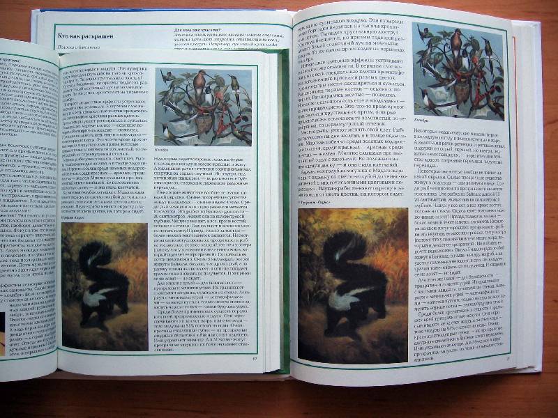 Иллюстрация 7 из 44 для Чудеса живой природы - Калашников, Лаврова | Лабиринт - книги. Источник: Red cat ;)