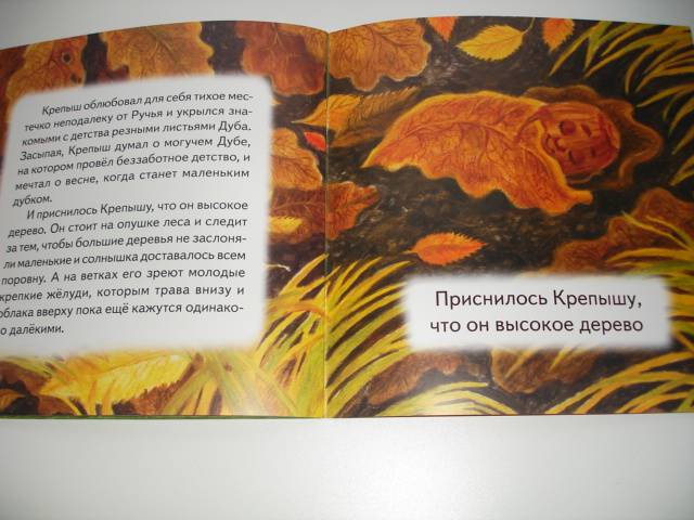 Иллюстрация 32 из 34 для Сказка о маленьком желуде - Полина Орлова | Лабиринт - книги. Источник: Осьминожка