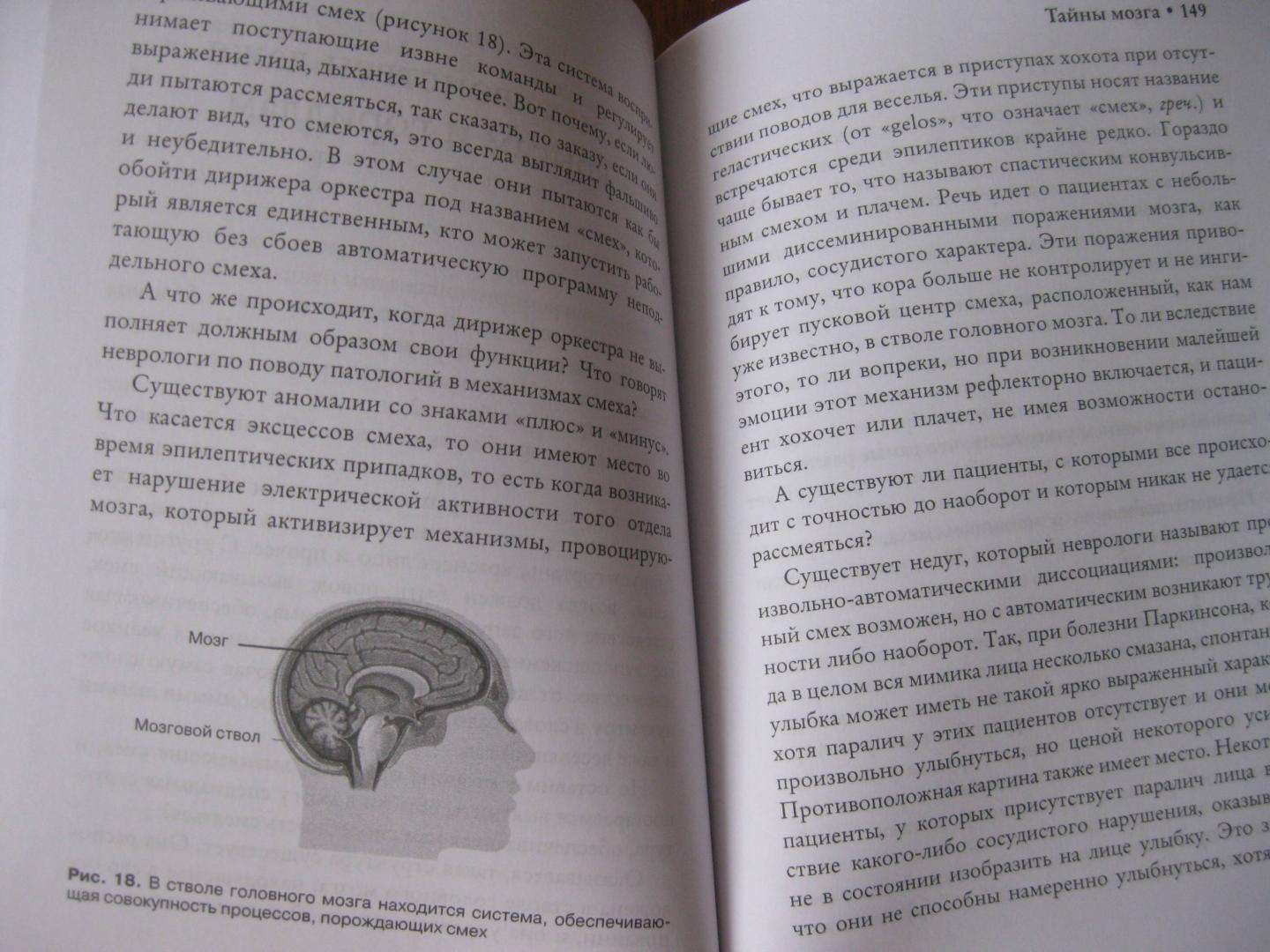 Иллюстрация 8 из 23 для Тайны мозга - Лоран Коэн | Лабиринт - книги. Источник: Колесов  Сергей Александрович