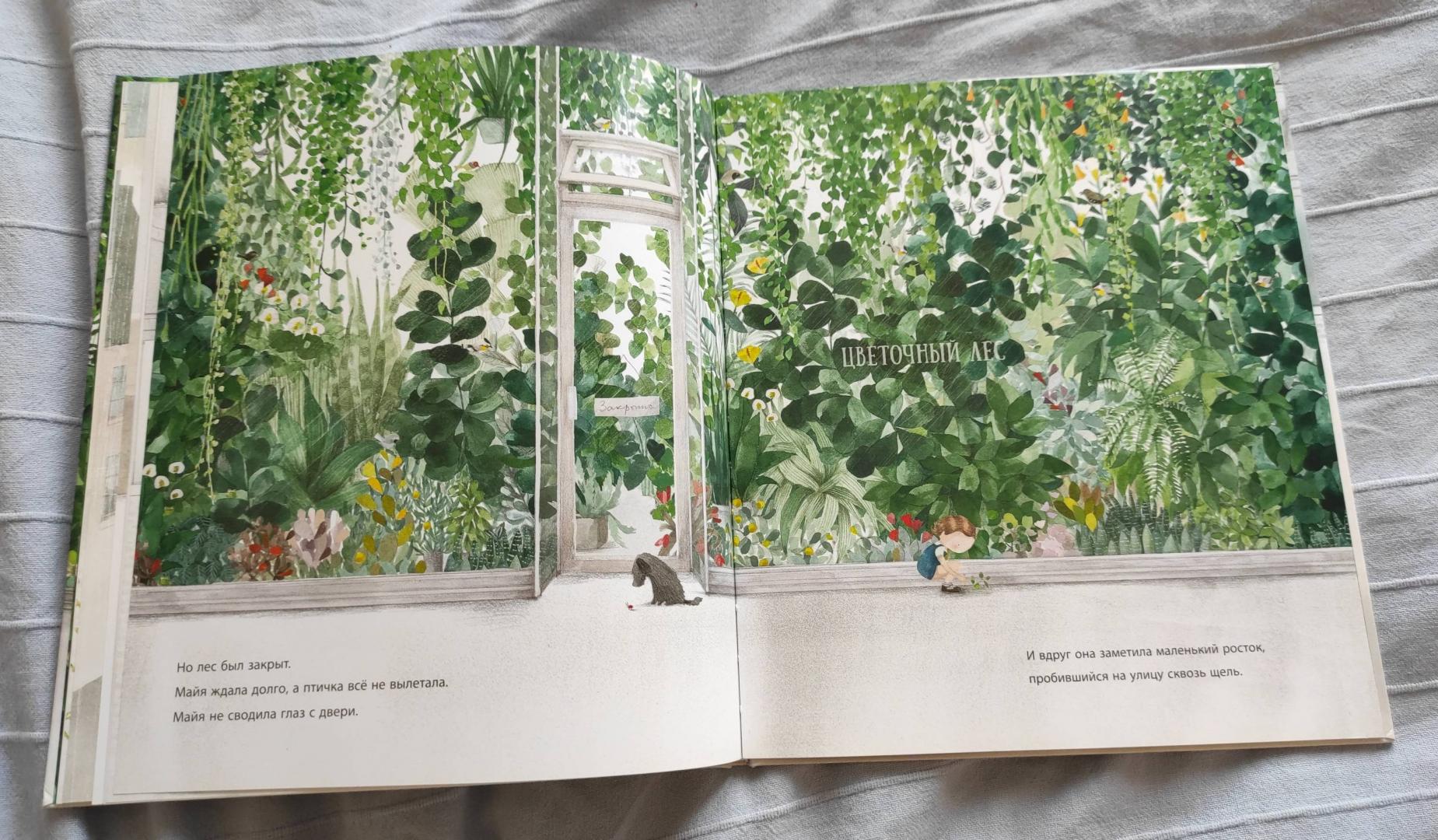 Иллюстрация 40 из 42 для Цветочный лес - Анна Уокер | Лабиринт - книги. Источник: Алпенидзе Карина