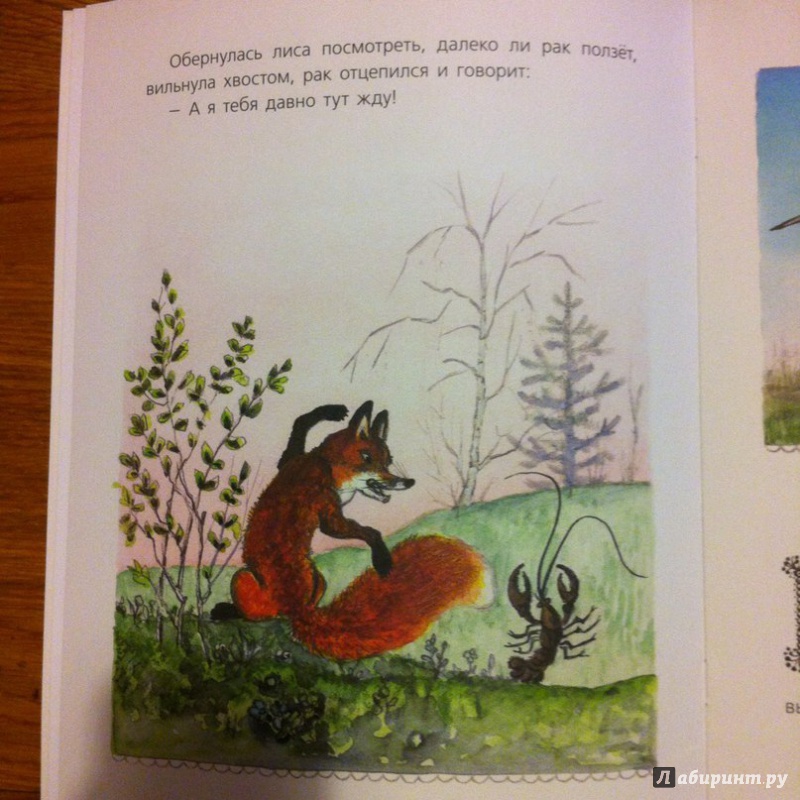 Иллюстрация 19 из 34 для Сказки про лису | Лабиринт - книги. Источник: Шиншилла
