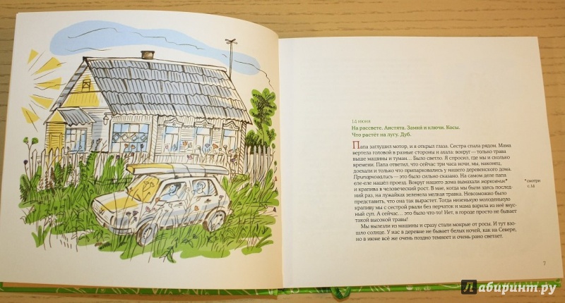 Иллюстрация 68 из 87 для Лето в Деревне - Зина Сурова | Лабиринт - книги. Источник: КНИЖНОЕ ДЕТСТВО