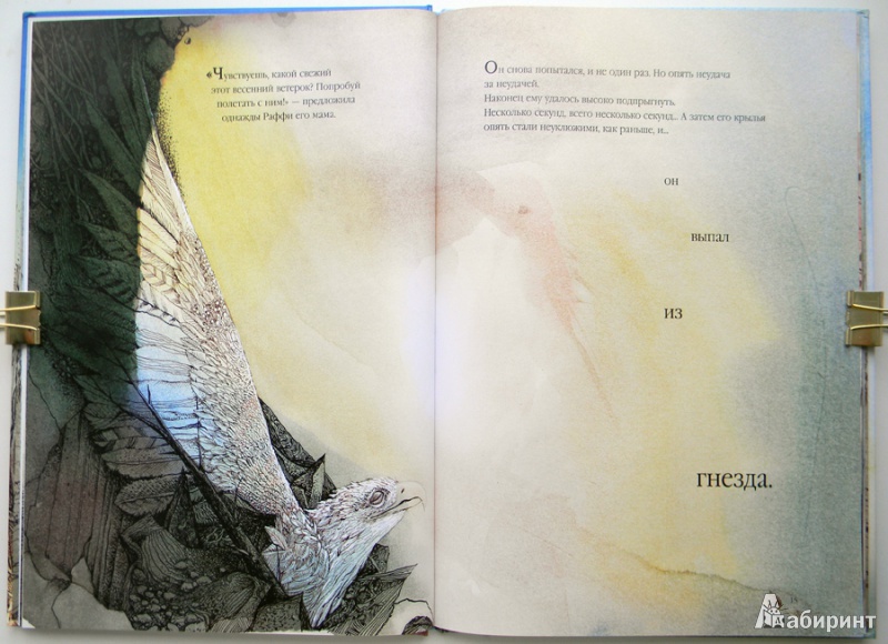 Иллюстрация 14 из 39 для Раффи, белоснежный орёл - Рэйнвиль, Джеминиани | Лабиринт - книги. Источник: Раскова  Юлия