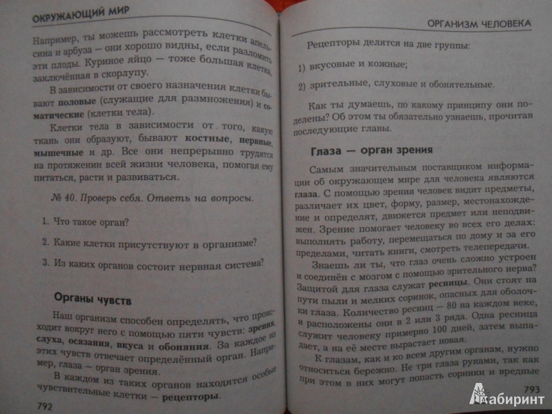 Иллюстрация 3 из 45 для Новейший справочник школьника для 1-4 классов - Березина, Пантелеева | Лабиринт - книги. Источник: Fleure