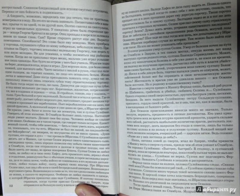 Иллюстрация 8 из 9 для Роксолана. Роковая любовь Сулеймана Великолепного - Павел Загребельный | Лабиринт - книги. Источник: Tatiana Sheehan