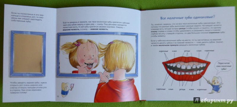 Иллюстрация 57 из 145 для Зубная книга. Все о твоих молочных зубах - Ивона Радюнц | Лабиринт - книги. Источник: reader*s