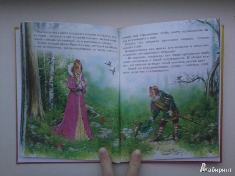 Иллюстрация 10 из 25 для Поучительные сказки - Перро, Гримм | Лабиринт - книги. Источник: Данилка