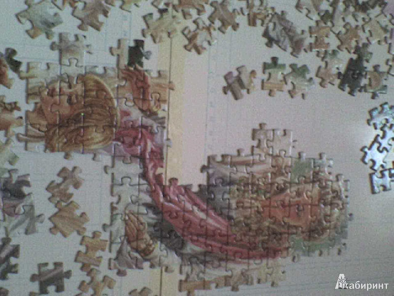 Иллюстрация 2 из 19 для Step Puzzle-1000 "Лебединое озеро" (79516) | Лабиринт - игрушки. Источник: Роза с шипами