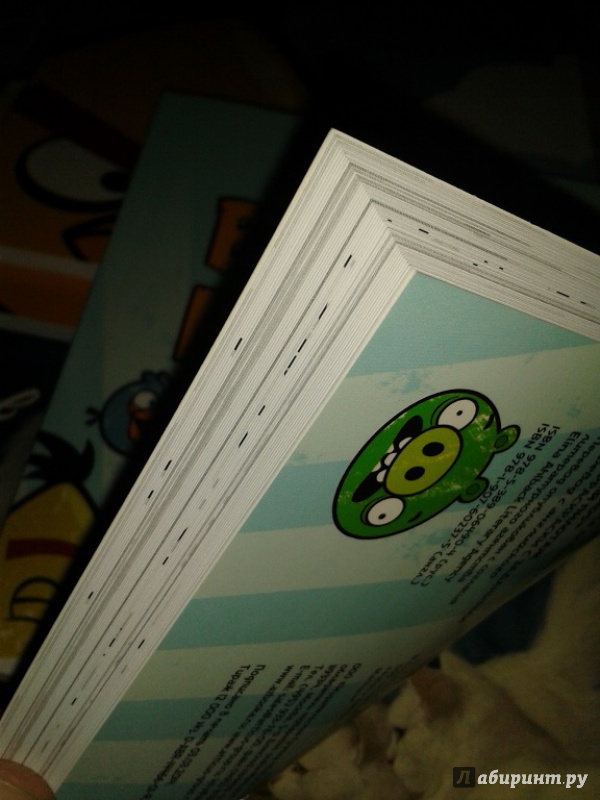 Иллюстрация 6 из 9 для Angry Birds. Высший пилотаж. Суперраскраски с заданиями | Лабиринт - книги. Источник: Написатель