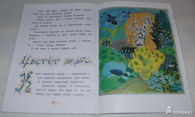 Иллюстрация 15 из 52 для Заячий букет - Коваль, Маврина | Лабиринт - книги. Источник: Книжный кот
