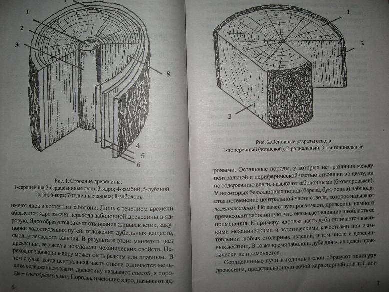 Иллюстрация 3 из 24 для Обработка дерева на станках - Левадный, Черный | Лабиринт - книги. Источник: mihel