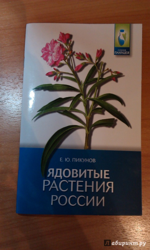 Иллюстрация 2 из 4 для Ядовитые растения России - Евгений Пикунов | Лабиринт - книги. Источник: Nayt