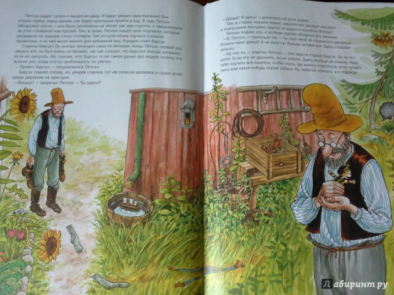 Иллюстрация 62 из 102 для История о том как Финдус потерялся, когда был маленьким - Свен Нурдквист | Лабиринт - книги. Источник: Юлия