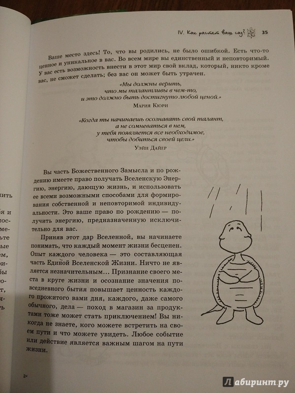 Иллюстрация 10 из 19 для Мудрость Черепахи - Донна Деномм | Лабиринт - книги. Источник: Melaschka