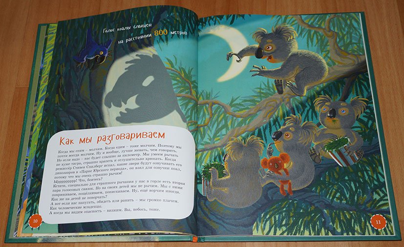 Иллюстрация 34 из 35 для Я коала - Ирина Лукьянова | Лабиринт - книги. Источник: Ёжик
