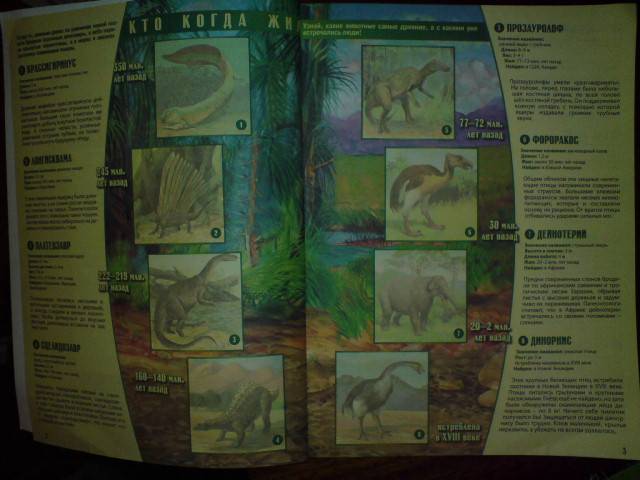 Иллюстрация 7 из 21 для Динозавры и другие доисторические животные. Атлас с наклейками - Наталья Преображенская | Лабиринт - книги. Источник: Настёна