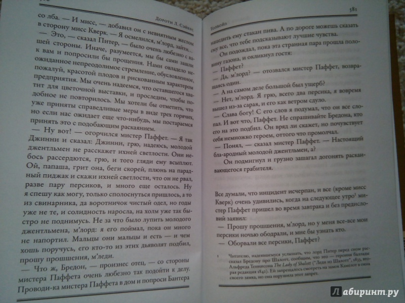 Иллюстрация 13 из 26 для Медовый месяц в улье - Дороти Сэйерс | Лабиринт - книги. Источник: Ремизова Нина